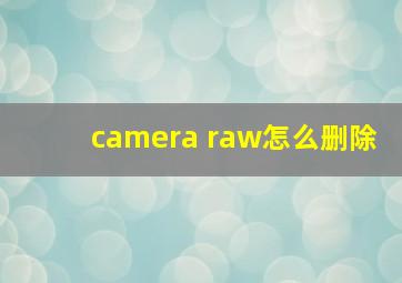 camera raw怎么删除